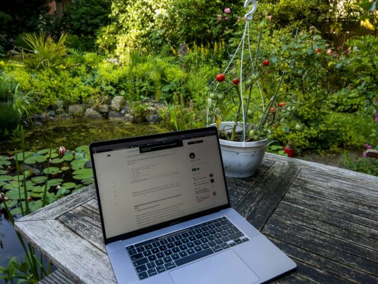 Aufgeklappter Laptop auf einem hölzernen Gartentisch neben einer Tomatenpflanze und einem Gartenteich.